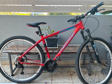 torpado mercury 29