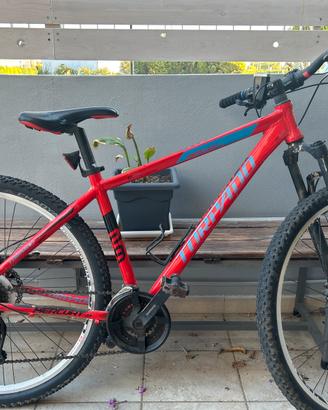 torpado mercury 29