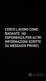 Come badante ,pulizie