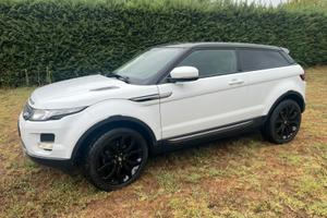Evoque ED 4