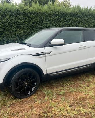 Evoque ED 4