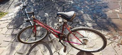 mtb 26 donna- bambina