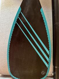 Pagaia Gong
