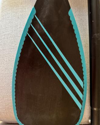 Pagaia Gong