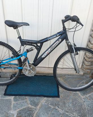 mountain bike