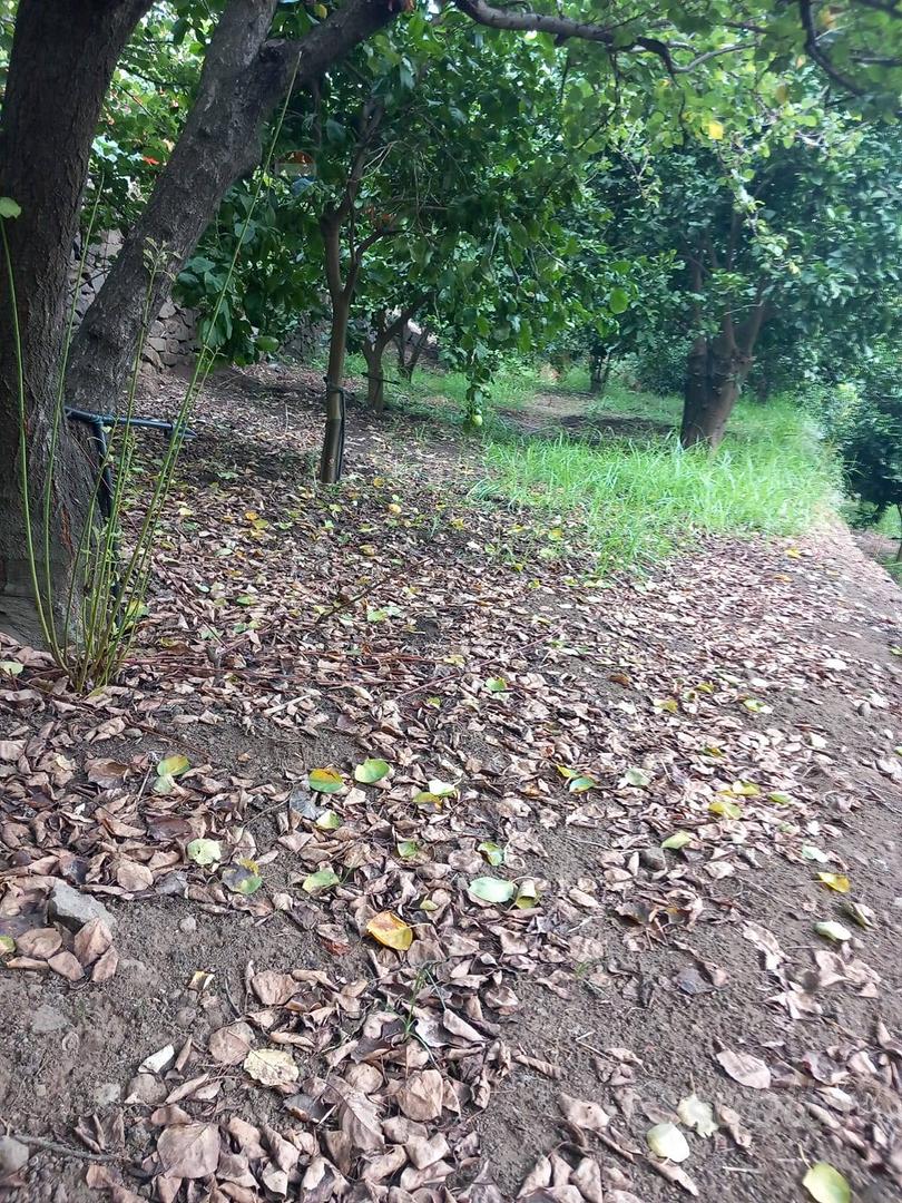 Terreno - Mascali - Vista 3