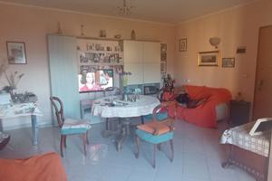 Grazioso appartamento