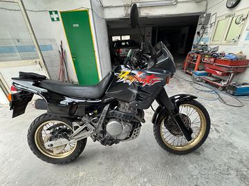 Honda Dominator