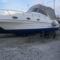 Saver Albatross 260 - Prezzo ribassato