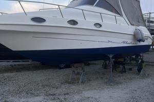 Saver Albatross 260 - Prezzo ribassato