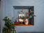 Immagine 19