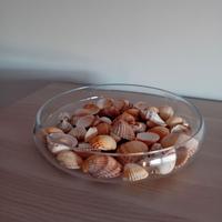 ciotola in vetro