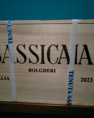 vino sassicaia 2023
