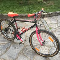 Mountain bike Bottecchia