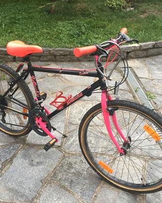 Mountain bike Bottecchia