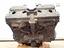Immagine 11