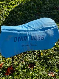 Agnellino Dyna-Sorb Gel