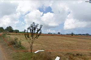 Terreno agricolo 10 mq istia NOCERA TERINESE