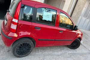 FIAT PANDA 1.2 Anno 2012  NEOPATENTATI