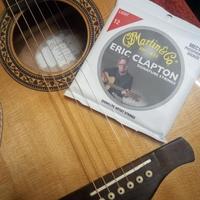 Chitarra acustica Ibanez AVN3 NT Parlour