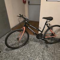 Bicicletta Bike Donna