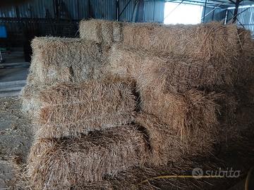 Fieno per animali