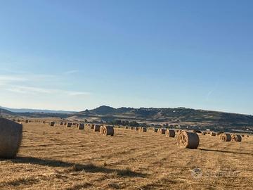 Fieno biologico certificato