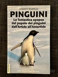 “Pinguini “ di Giovanni Bigatello