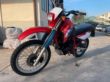 HONDA XL 600 RM targhe originali
