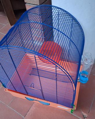 gabbia criceto