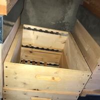 Arnie e melari nuovi