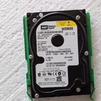 Hard disk Western Digital WD800