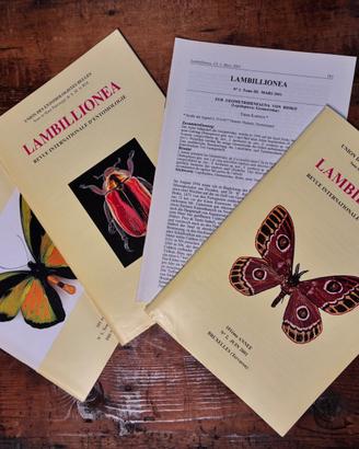 Rivista LAMBILLIONEA Entomologia
