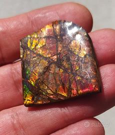 Ammolite preziosa dal Canada