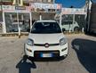 Fiat Panda 1.2 GPL 2021 CITYLIFE