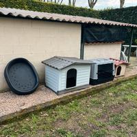Cuccia, trasportino ecc per cani
