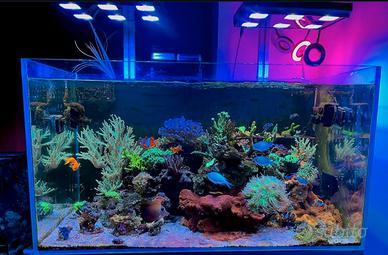 Acquario aqpet 90x50x50