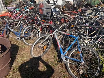 Lotto Biciclette Usate