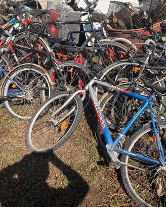 Lotto Biciclette Usate