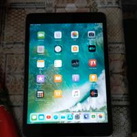 iPad mini 2
