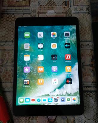 iPad mini 2