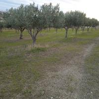 Appezzamento di Terra