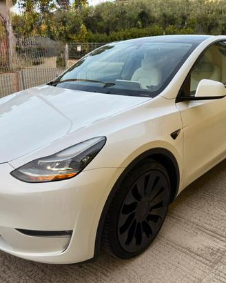 Tesla model y performance
