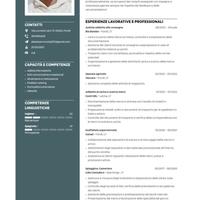 Addetto al carico e scarico merci ma va bene tutto