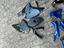 Immagine 4