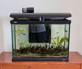 Acquario NEWA Mirabello 70 Completo di Accessori