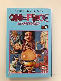 One piece 13