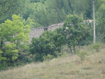 RGE 30/2016 - Tribunale di Urbino - Lotto I