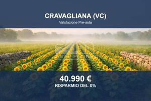 Immobile in asta di 39210 m² a Cravagliana