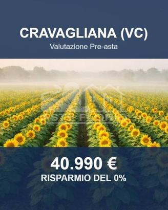 Immobile in asta di 39210 m² a Cravagliana